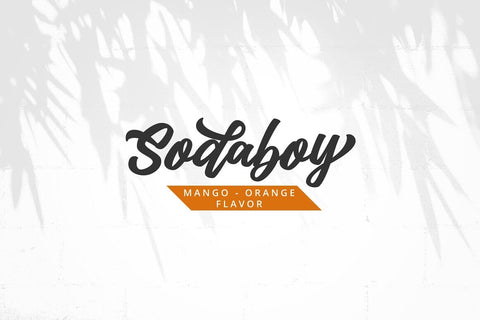 Kedmote Script Typeface Font Fadeline Std. 