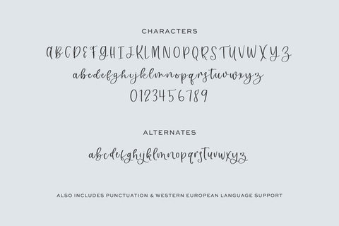 Kennaston Calligraphy Script Font Beck McCormick 