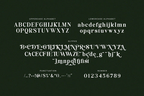 Ketinste - Elegant Serif Font Font studioalmeera 