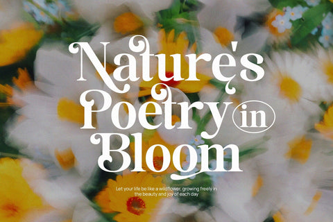 Ketinste - Elegant Serif Font Font studioalmeera 