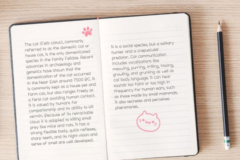 Kids Note - Handwritten Font Font AnningArts Design 