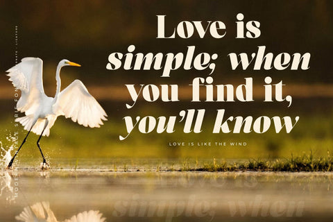 Kindora Bufferly - Modern Vintage Serif Font Font Letterena Studios 