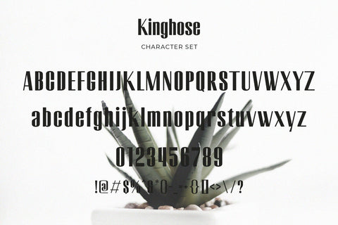 Kinghose - Modern Sans Serif Font studioalmeera 