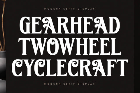Kingtron - Modern Serif Display Font Letterena Studios 