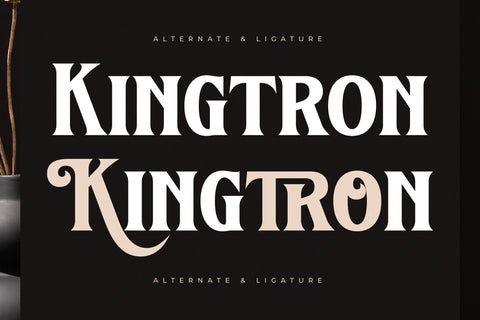 Kingtron - Modern Serif Display Font Letterena Studios 