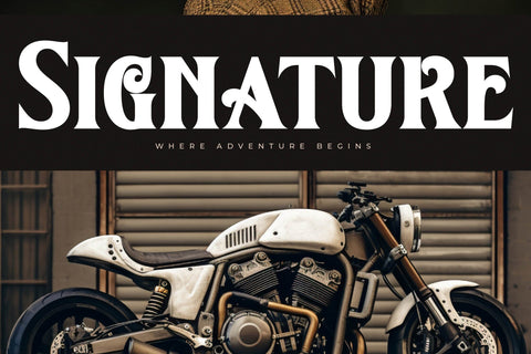 Kingtron - Modern Serif Display Font Letterena Studios 