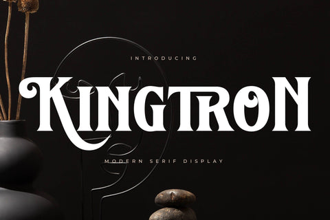 Kingtron - Modern Serif Display Font Letterena Studios 