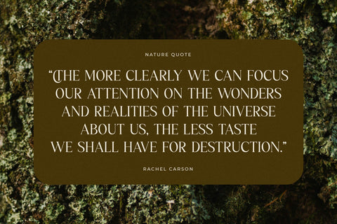 Kiprhany - Modern Serif Font Font Letterena Studios 