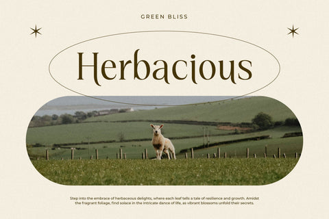 Kiprhany - Modern Serif Font Font Letterena Studios 