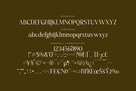 Kiprhany - Modern Serif Font Font Letterena Studios 