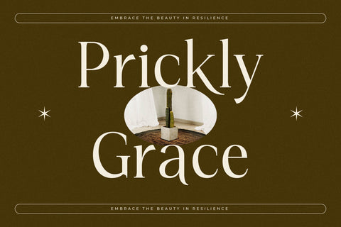 Kiprhany - Modern Serif Font Font Letterena Studios 