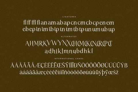 Kiprhany - Modern Serif Font Font Letterena Studios 