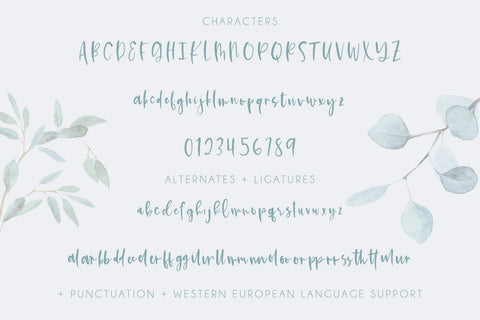 Kismet Handwritten Script Font Font Beck McCormick 