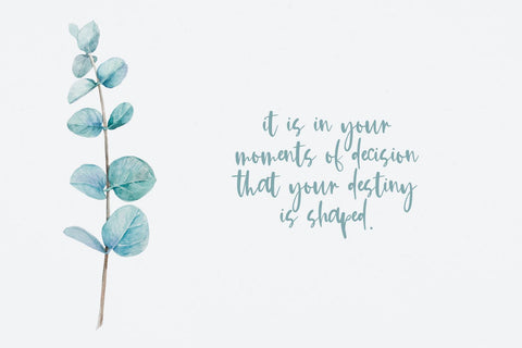 Kismet Handwritten Script Font Font Beck McCormick 