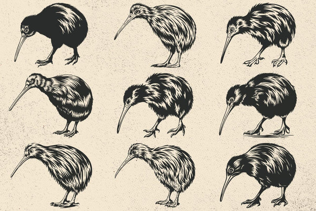 kiwi svg , kiwi Silhouette Vector , Bird Vector SVG DesignDestine 