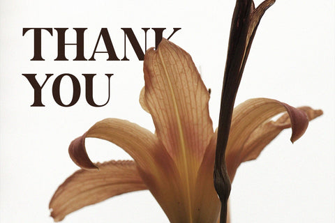 Kodney - Modern Serif Font Font studioalmeera 