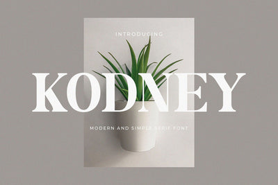 Kodney - Modern Serif Font Font studioalmeera 