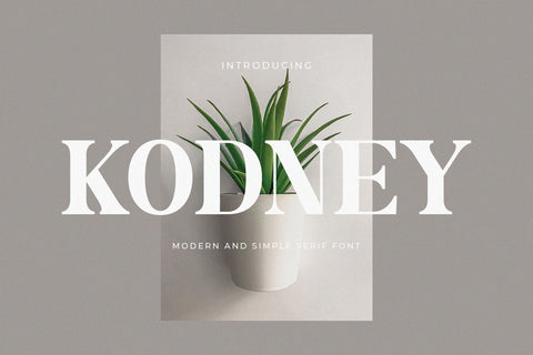 Kodney - Modern Serif Font Font studioalmeera 