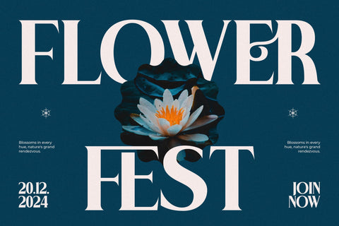 Kraliba - Modern Display Serif Font Letterena Studios 