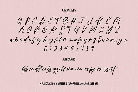 La Rue Script Font Beck McCormick 