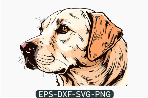Labrador retriever svg Peeking labrador svg SVG DesignDestine 