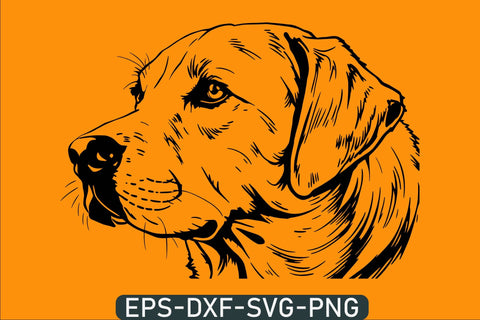 Labrador retriever svg Peeking labrador svg SVG DesignDestine 