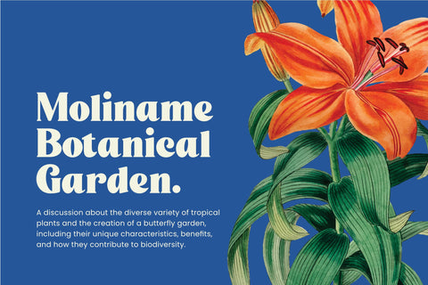 Lahuddin Font ahweproject 