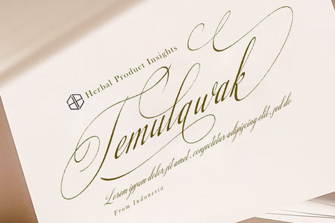 Lamborgini Font Sulthan studio 
