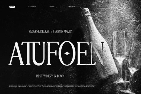 Laqenut - Serif Display Font Font twinletter 