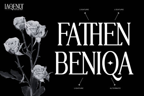 Laqenut - Serif Display Font Font twinletter 