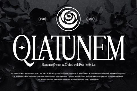 Laqenut - Serif Display Font Font twinletter 