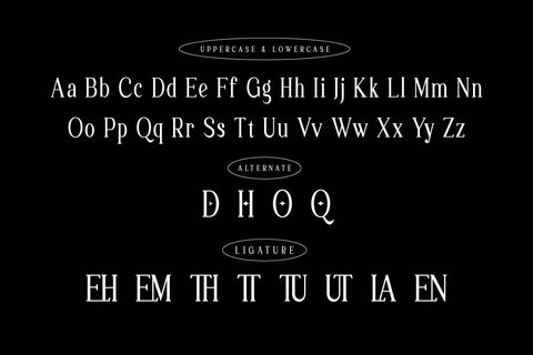 Laqenut - Serif Display Font Font twinletter 