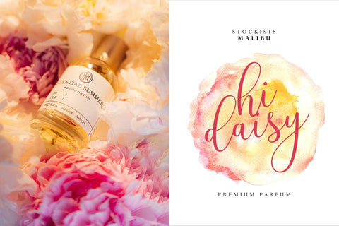 Larisathin Script Font Fadeline Std. 