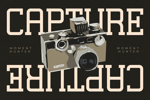 Lastime Echoes - Display Slab Serif Font Letterena Studios 