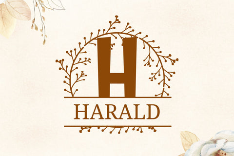 Laurentis Split Monogram Font Dm Letter Studio 