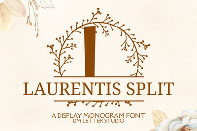 Laurentis Split Monogram Font Dm Letter Studio 