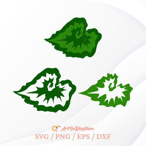Leaf Svg Bundle, Tropical Leaves Svg, Leaf Svg, Plants Svg, Botanical Svg, Leaf Cliparts SVG Artinrhythm shop 
