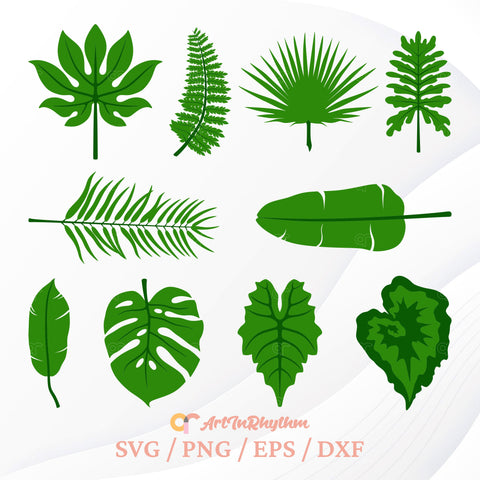 Leaf Svg Bundle, Tropical Leaves Svg, Leaf Svg, Plants Svg, Botanical Svg, Leaf Cliparts SVG Artinrhythm shop 