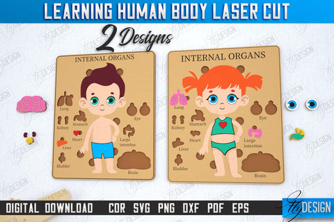 Learning Human Body Laser Cut Bundle | Kid’s Puzzle | Anatomy Game for Kid Set | CNC File SVG Fly Design 