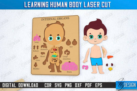 Learning Human Body Laser Cut Bundle | Kid’s Puzzle | Anatomy Game for Kid Set | CNC File SVG Fly Design 