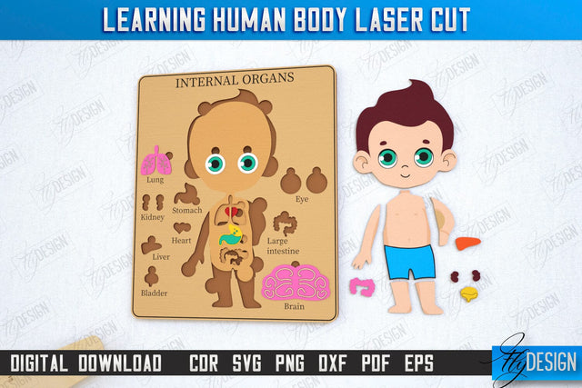 Learning Human Body Laser Cut | Kid’s Puzzle | Anatomy Game for Kid | Boy | CNC File SVG Fly Design 