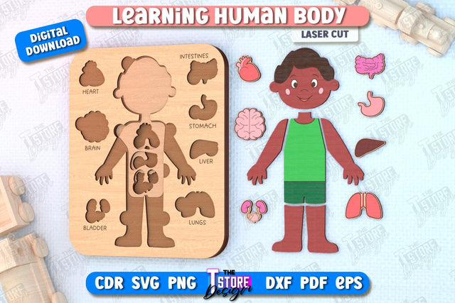 Learning Human Body Laser Cut | Kid’s Puzzle | Anatomy Game for Kid | Boy | CNC File SVG The T Store Design 