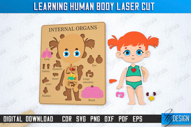 Learning Human Body Laser Cut | Kid’s Puzzle | Anatomy Game for Kid | Girl | CNC File SVG Fly Design 