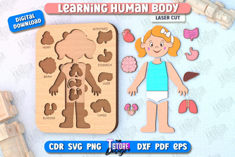 Learning Human Body Laser Cut | Kid’s Puzzle | Anatomy Game for Kid | Girl | CNC File SVG The T Store Design 