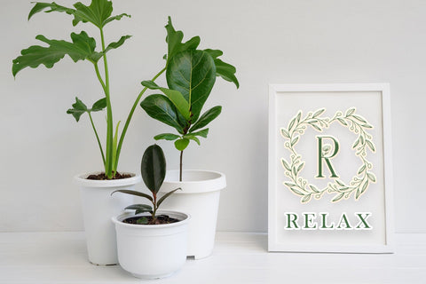 Leaves Buds Monogram Font Dm Letter Studio 