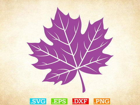 Leaves SVG, Leaf svg leaves fall Outline SVG, Halloween Png SVG Creativeart88 