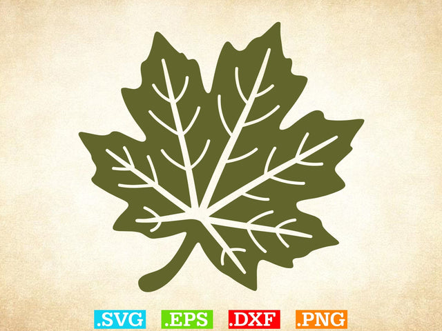 Leaves SVG, Leaf svg leaves fall Outline SVG, Halloween Png SVG Creativeart88 