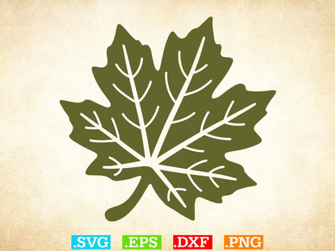 Leaves SVG, Leaf svg leaves fall Outline SVG, Halloween Png SVG Creativeart88 