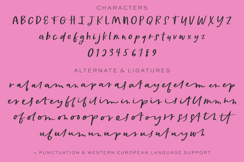 Lemonberries Script Font Beck McCormick 