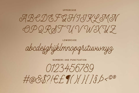 Leonaley – Minimalist Monoline Font Arterfak Project 